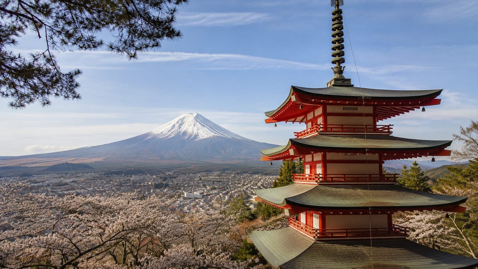 Mount Fuji with a group enjoying a private tour, clear skies in 2026