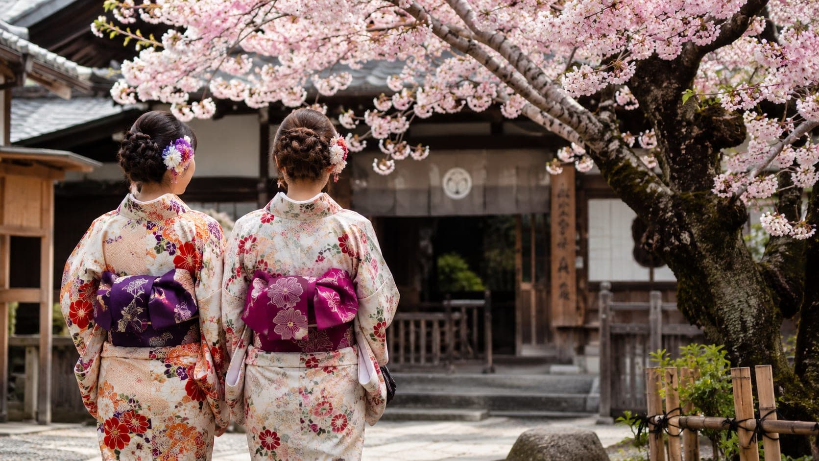 Traditional Japanese tea ceremony in a garden, 2026