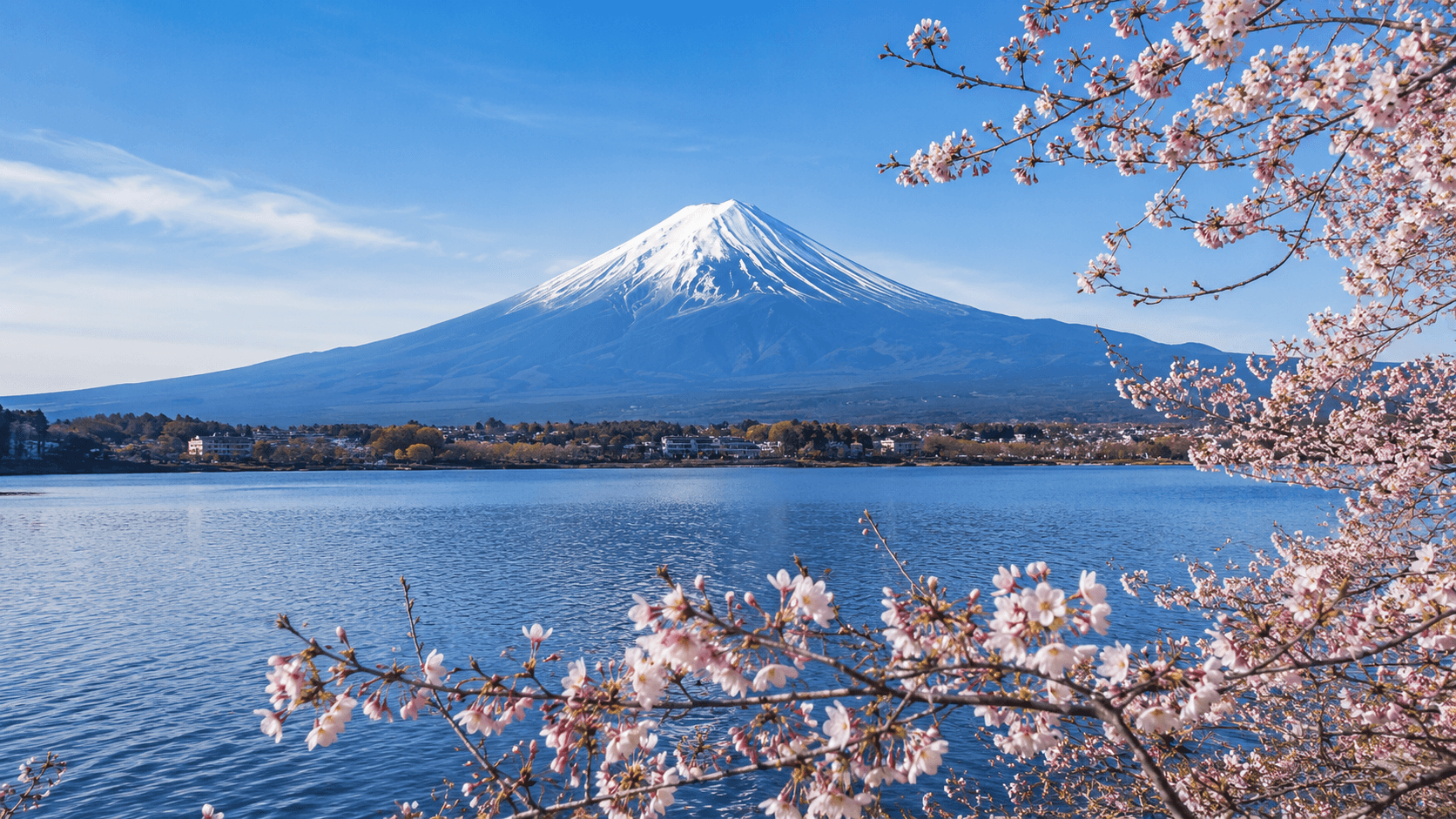 Mount Fuji view