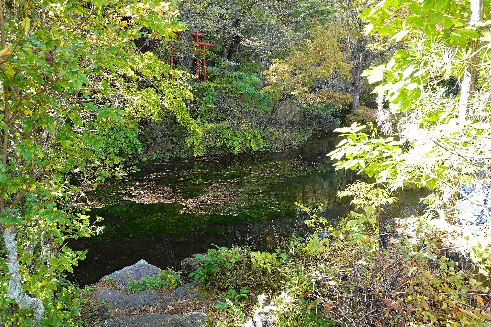 Oshino Hakkai