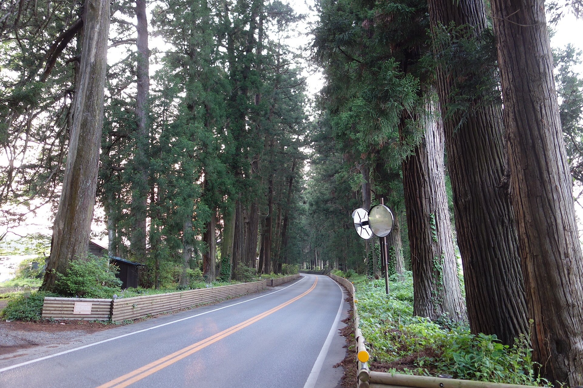 Cedar Avenue of Nikko