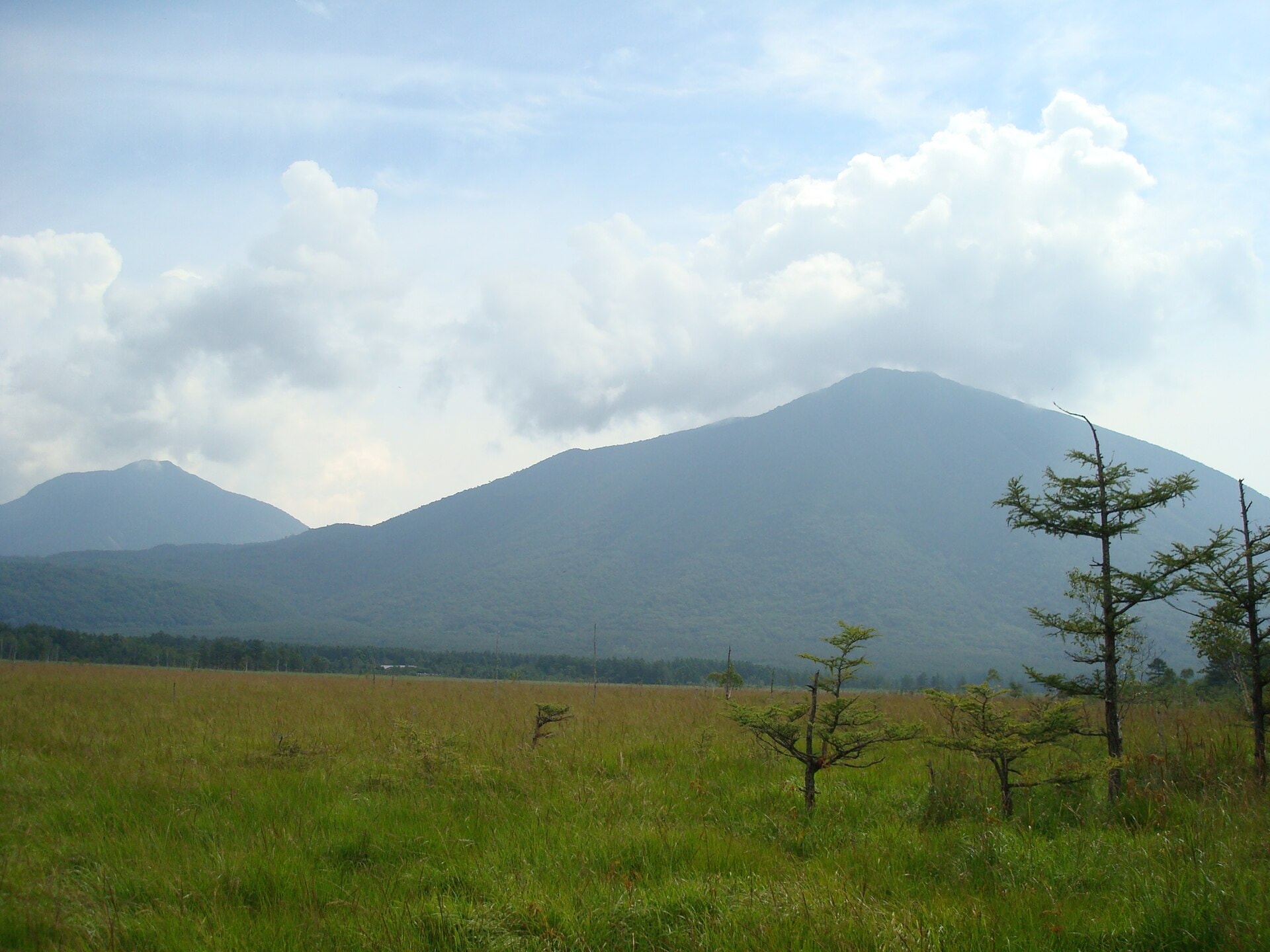 Senjogahara Marsh