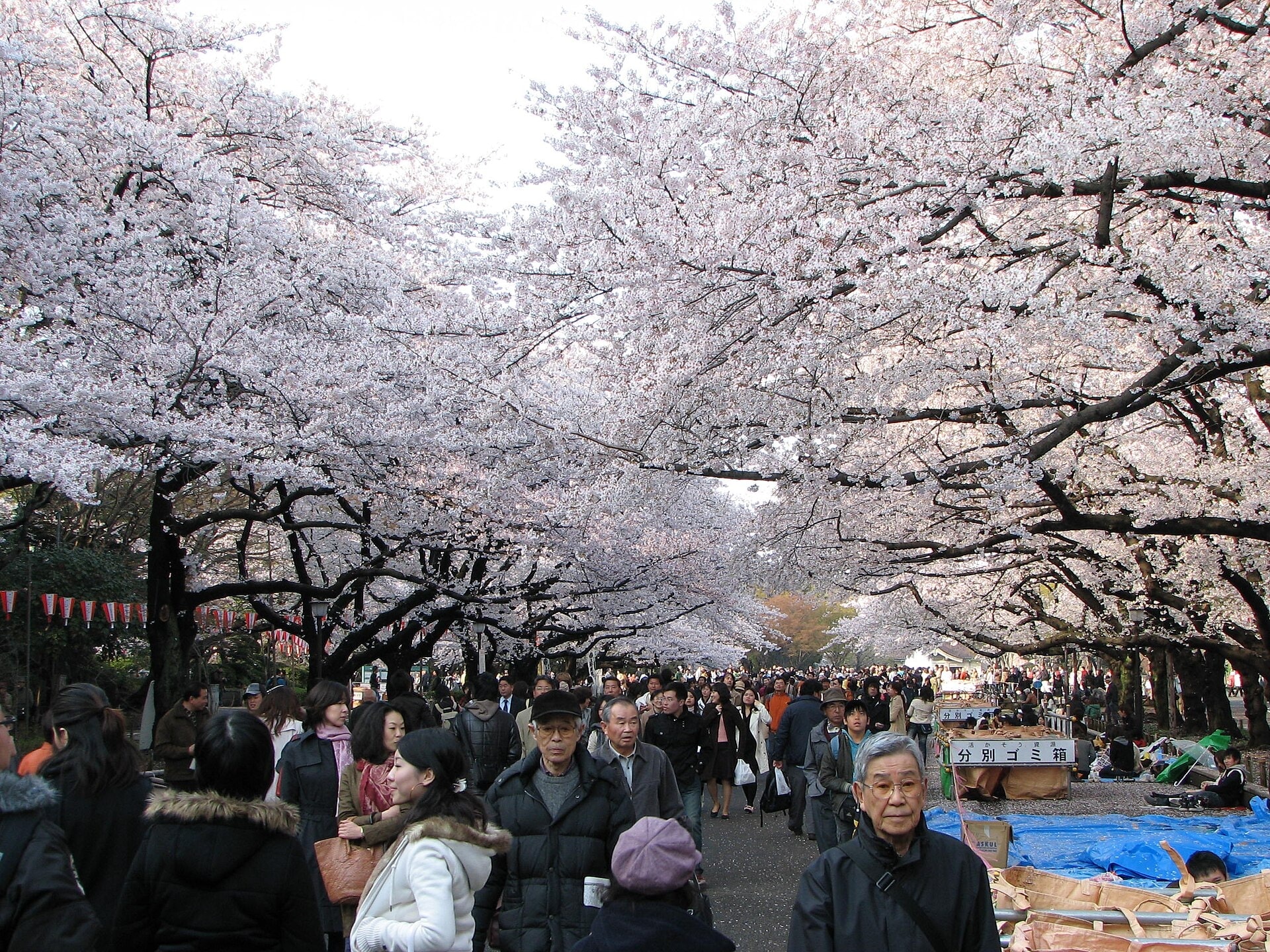 Ueno Park