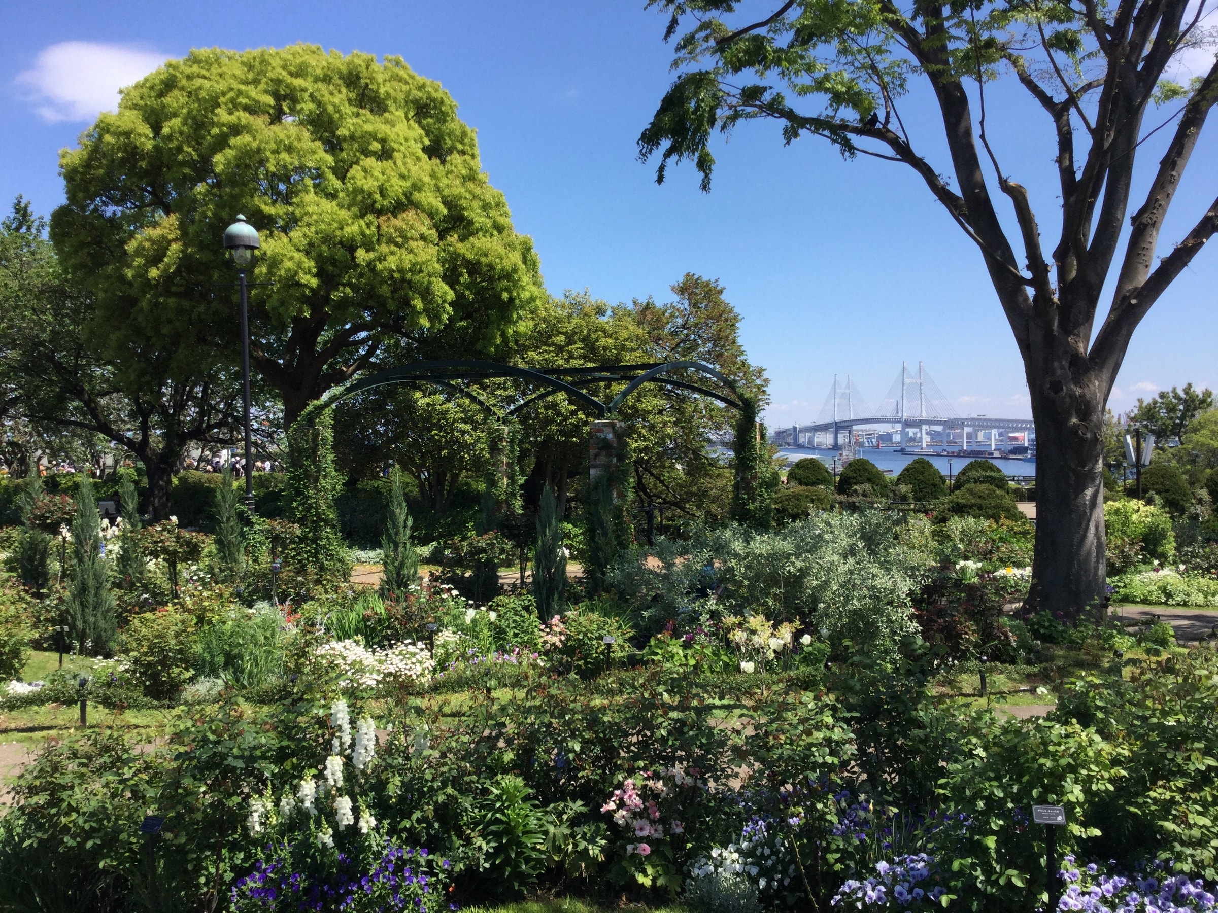 Yamate Bluff