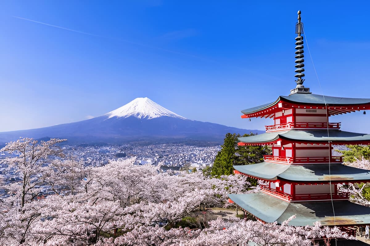 Mount Fuji with Chureito Pagoda and cherry blossoms