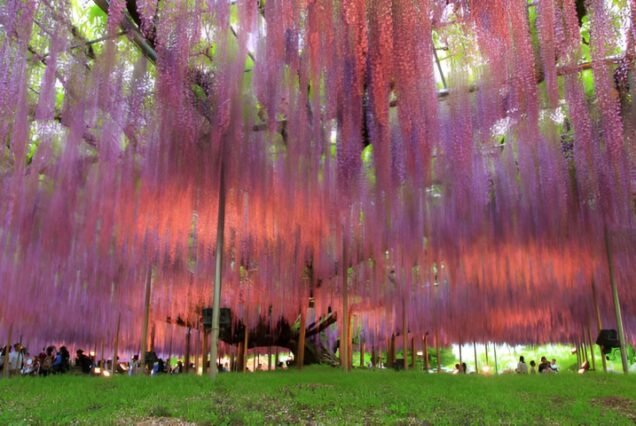 Ashikaga-and-Hitachi