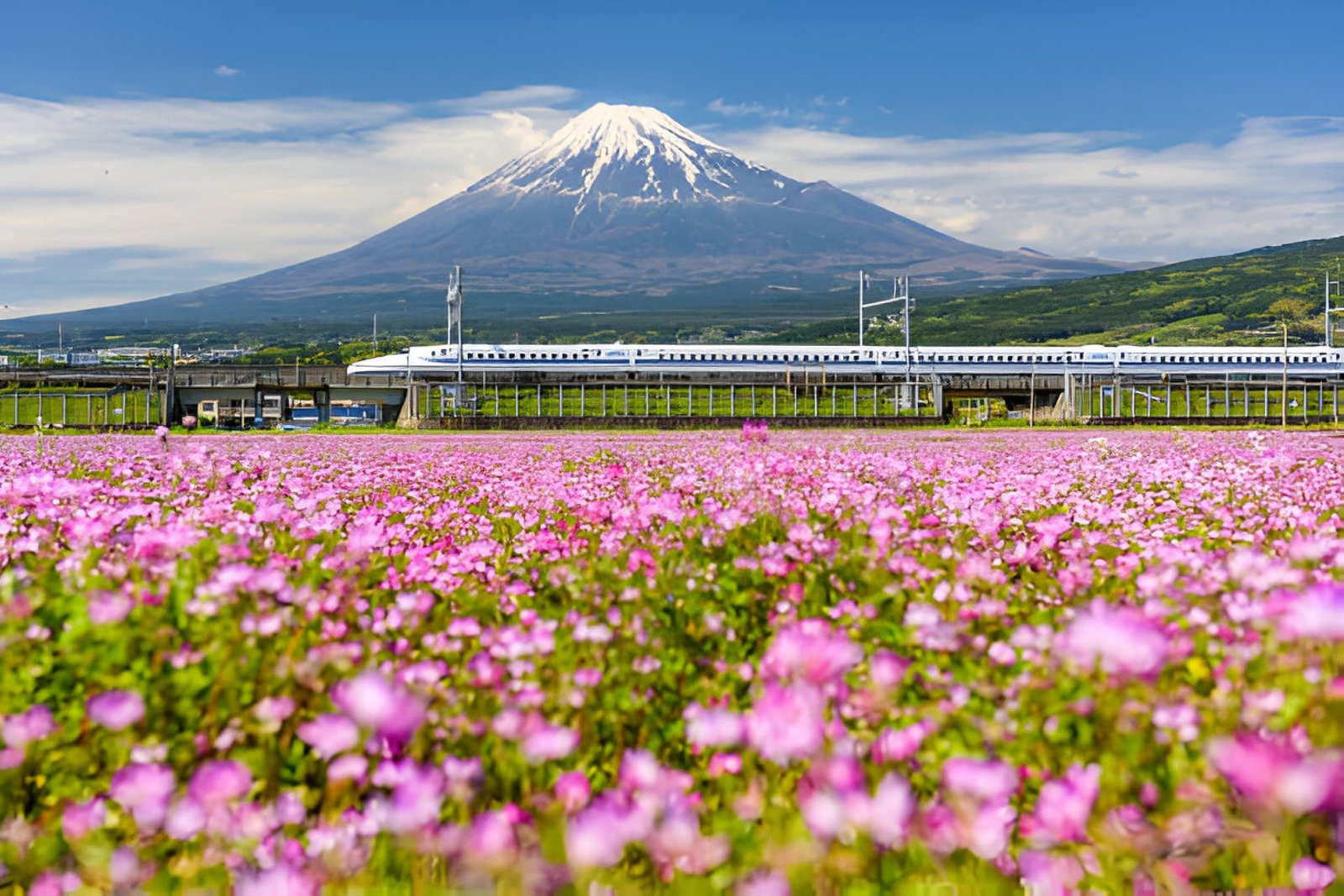 Mount Fuji Best Photo Spots